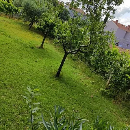 Prázdninový dům Holiday Ingrid Pula